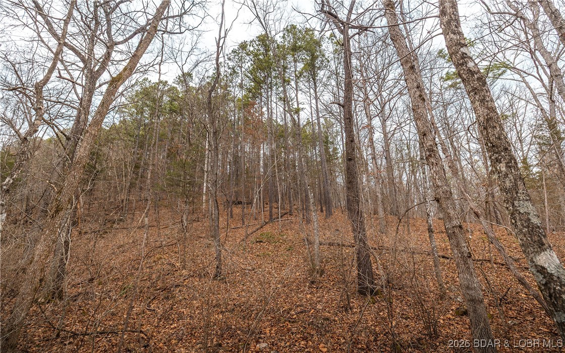 56.36-tbd Slaughter Road Licking, MO 65542 - Photo 33 of 43