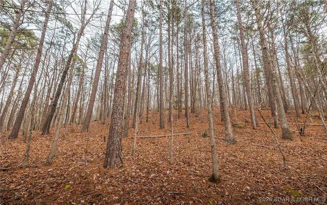 $183,170 | 56.36-tbd Slaughter Road, Licking, MO 65542