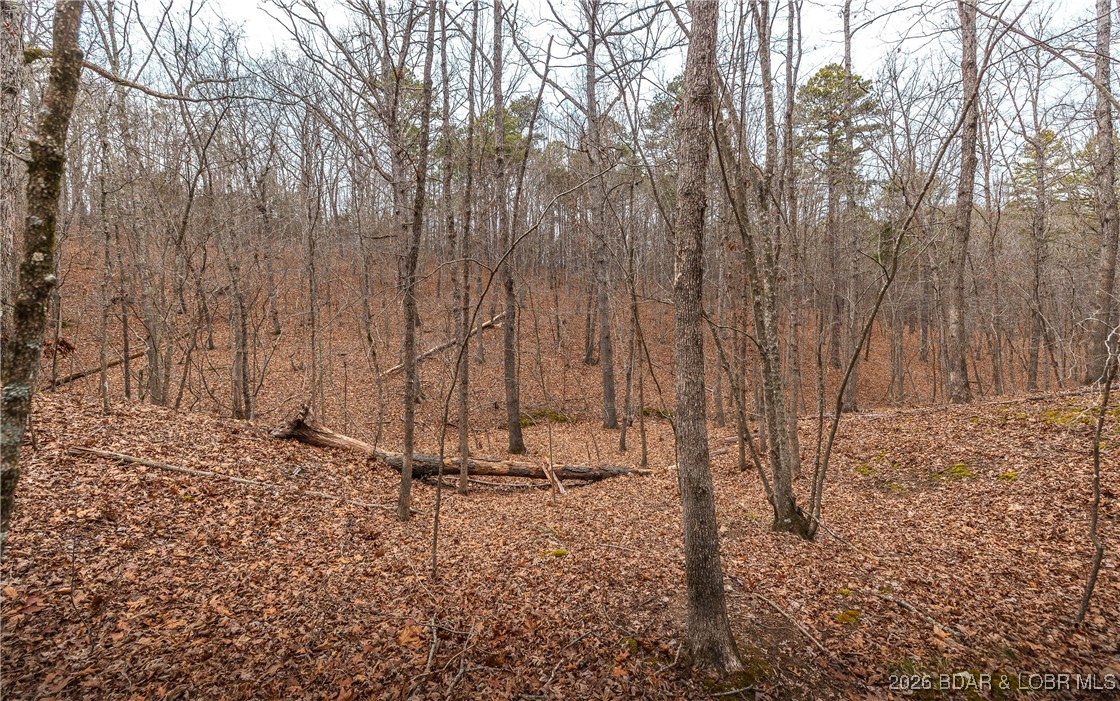 56.36-tbd Slaughter Road Licking, MO 65542 - Photo 36 of 43