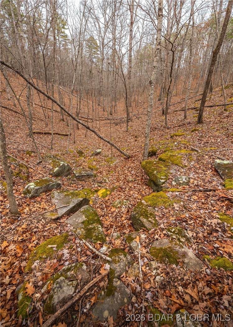 56.36-tbd Slaughter Road Licking, MO 65542 - Photo 37 of 43