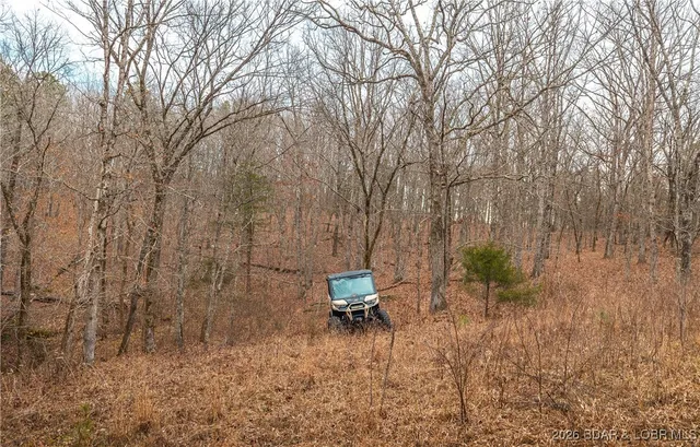 $183,170 | 56.36-tbd Slaughter Road, Licking, MO 65542