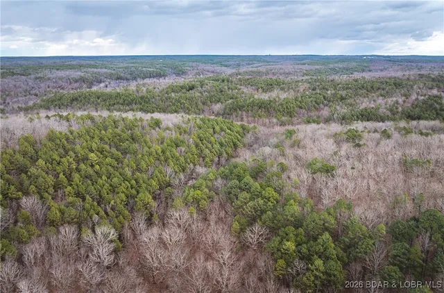 $183,170 | 56.36-tbd Slaughter Road, Licking, MO 65542