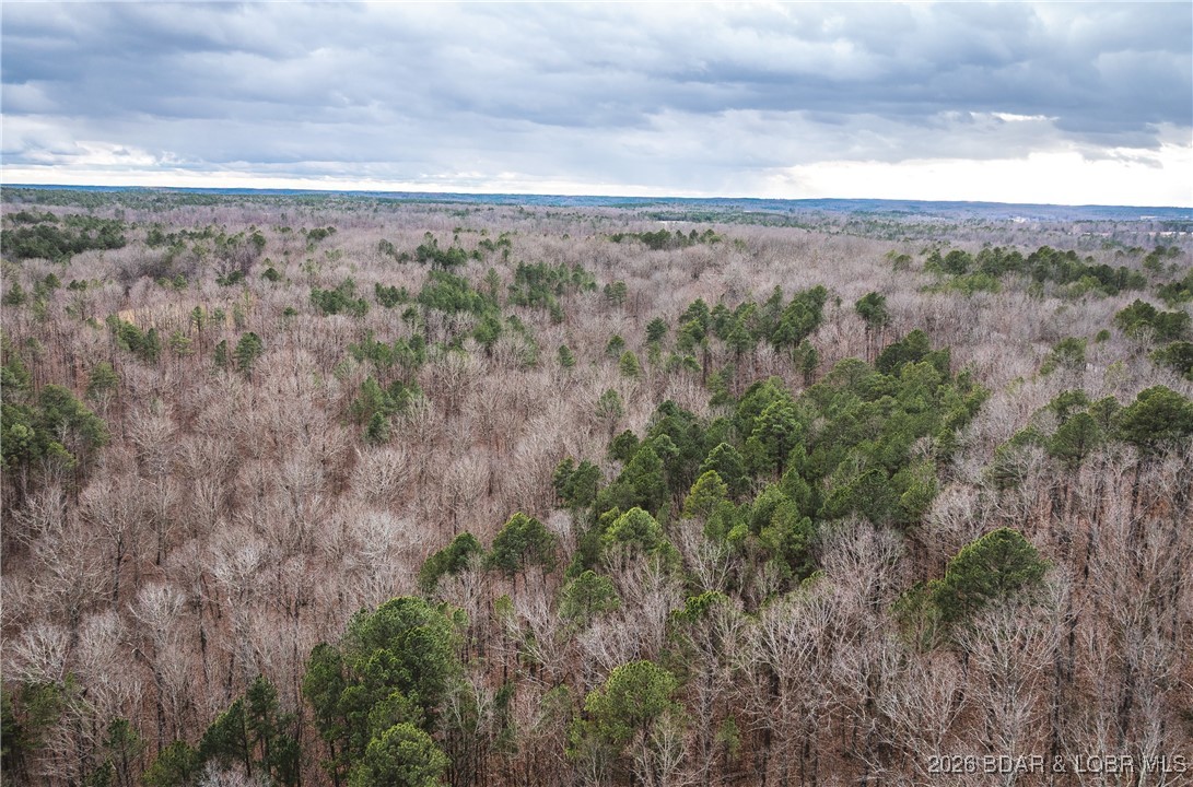 56.36-tbd Slaughter Road Licking, MO 65542 - Photo 7 of 43