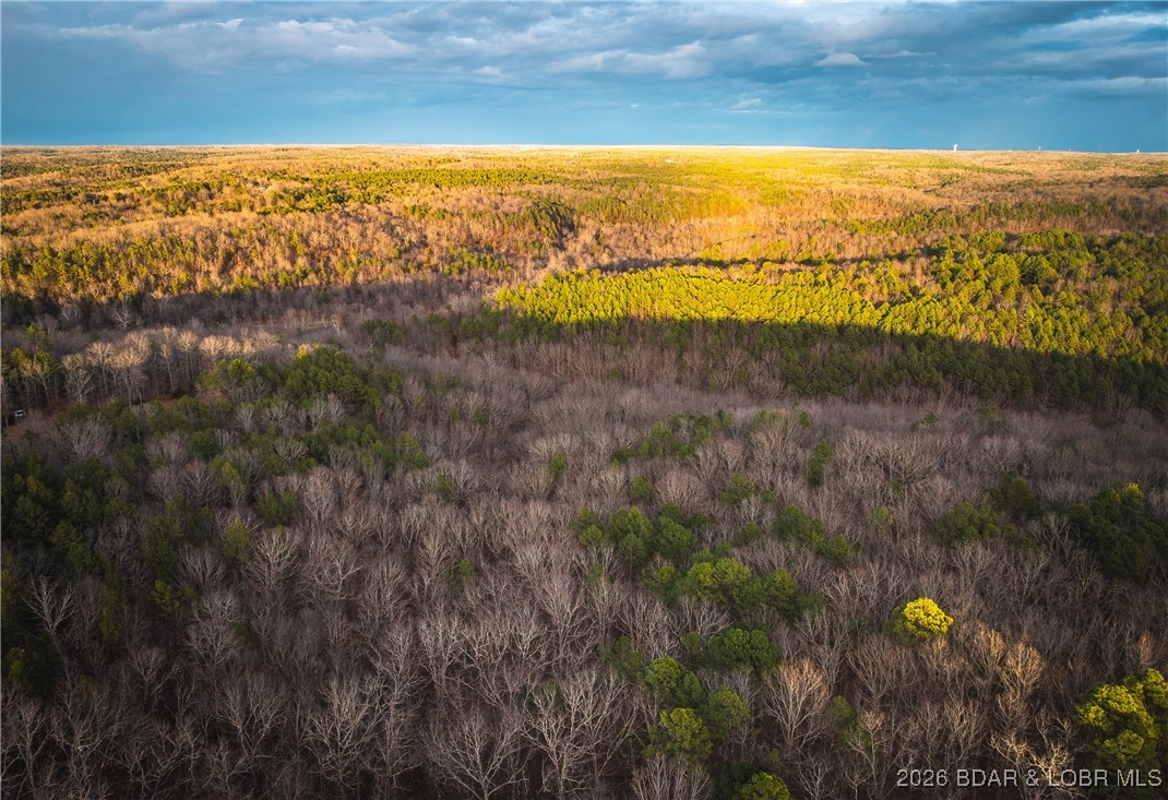 56.36-tbd Slaughter Road Licking, MO 65542 - Photo 10 of 43