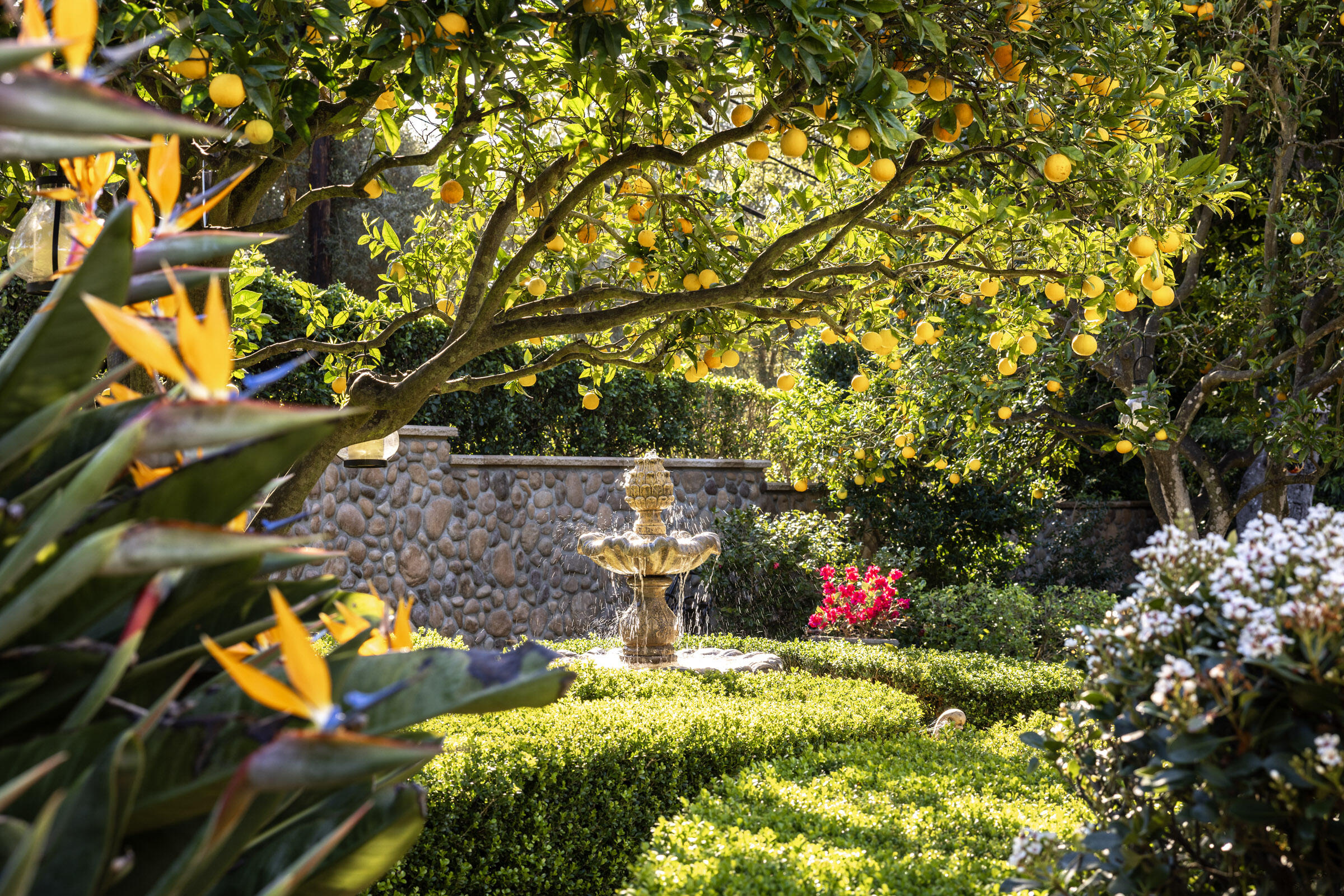 1650 East Valley Road Montecito, CA 93108 - Photo 19 of 26 Grounds