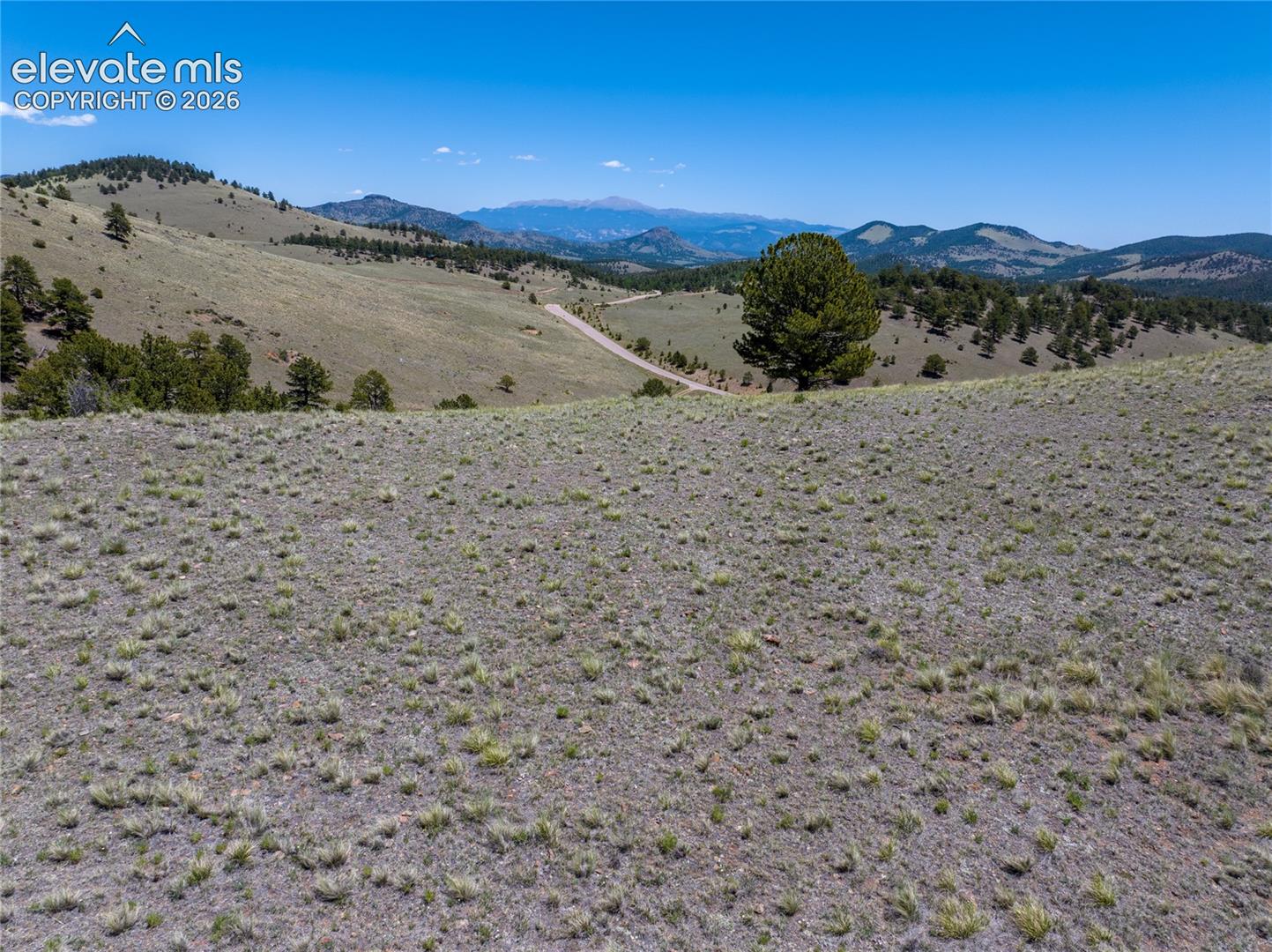 102 County Road Guffey, CO 80820 - Photo 3 of 25 Gallery Image 3