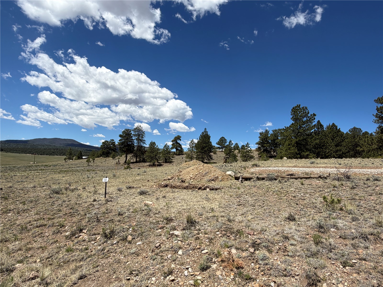 595 Bridle Path Hartsel, CO 80449 - Photo 23 of 23