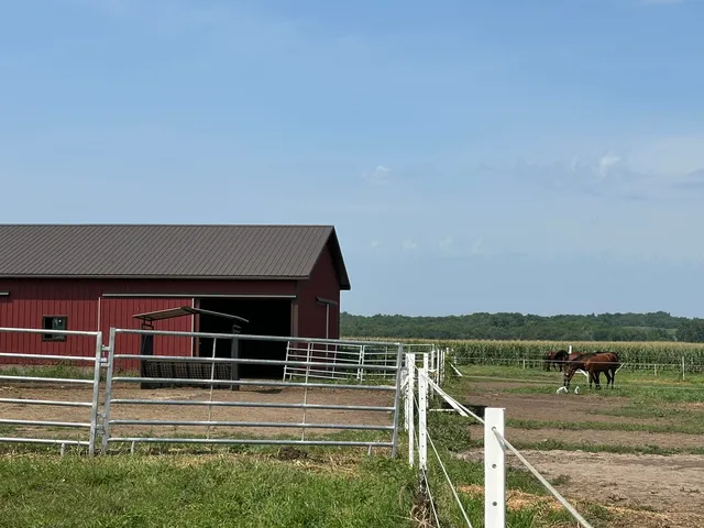 a view of a yard with wooden floor and lake view