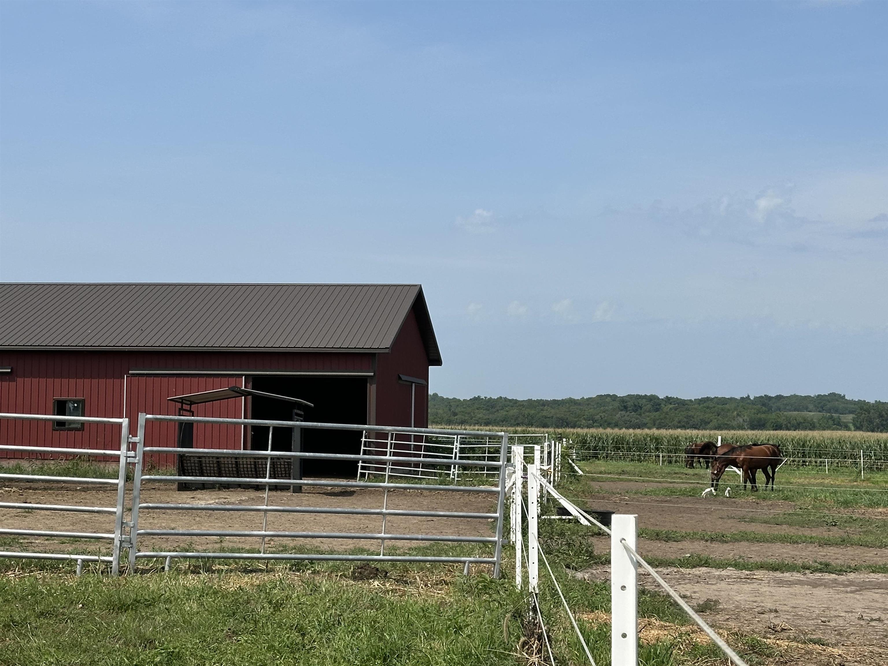 9896 Lincoln Road Morrison, IL 61270 - Photo 13 of 38 a view of a yard with wooden floor and lake view