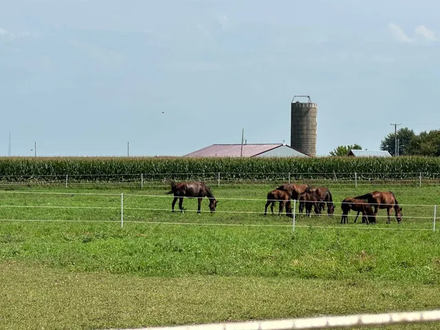 a view of two chairs and table in a yard