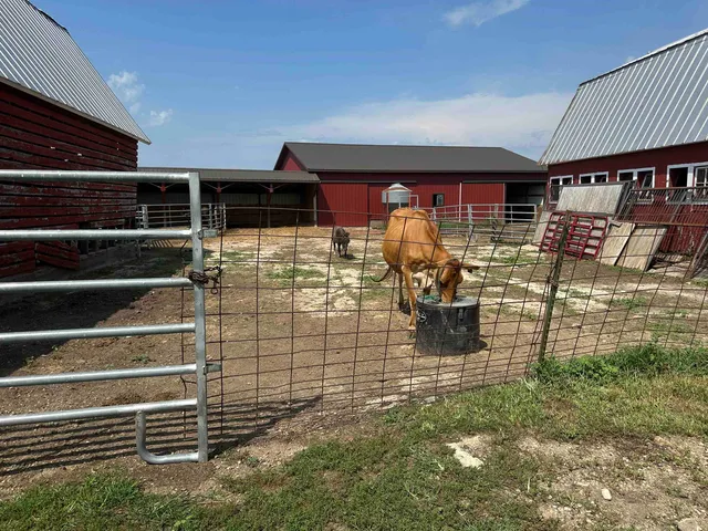 a view of a porch with wooden floor and a fireplace