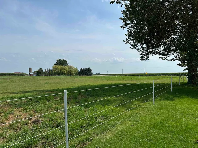 a view of a field with grass and trees