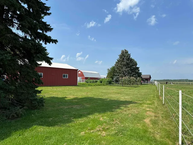 a view of a trees in a yard with a house