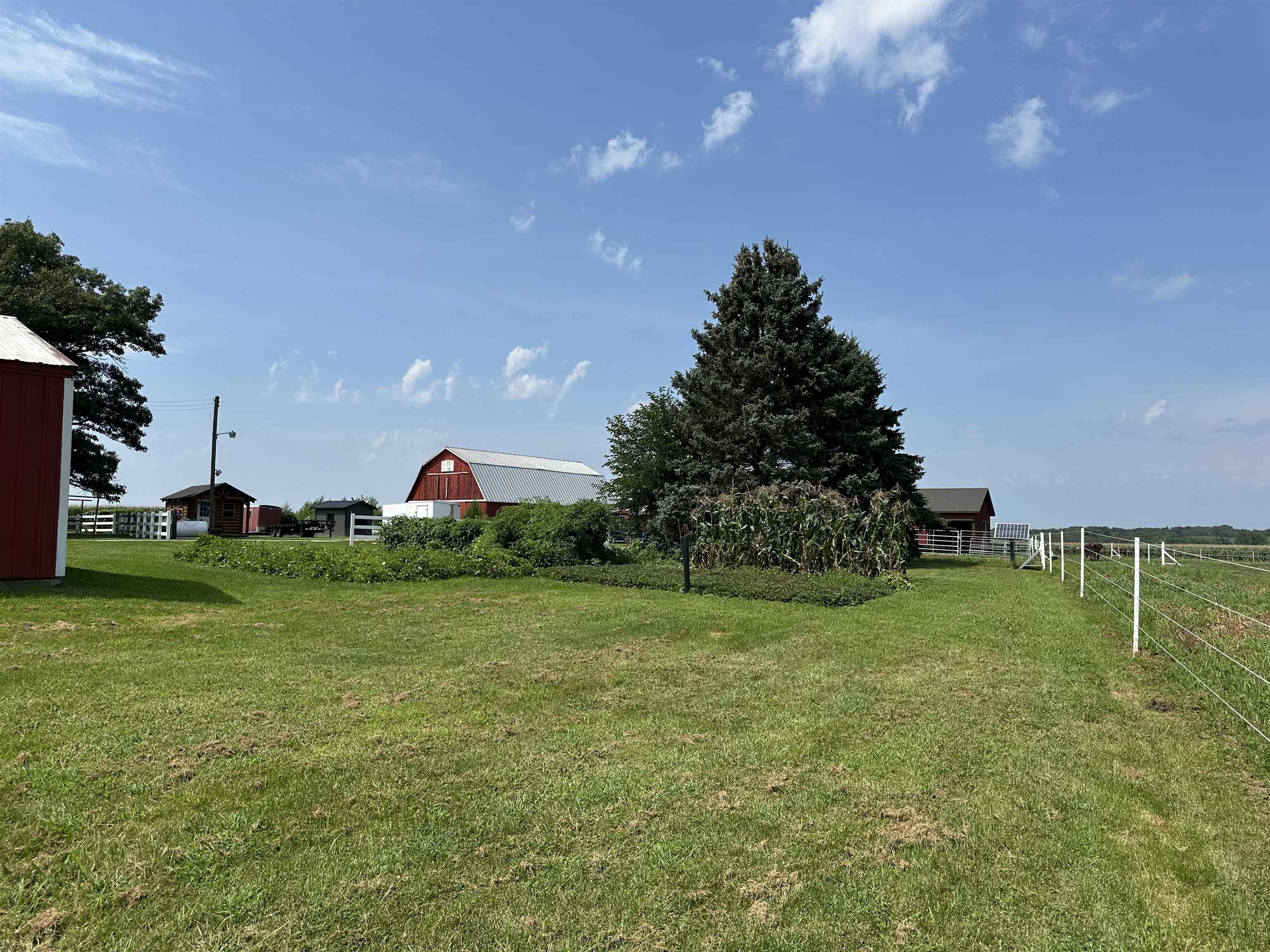 9896 Lincoln Road Morrison, IL 61270 - Photo 9 of 38 a backyard of a house with lots of green space and outdoor seating