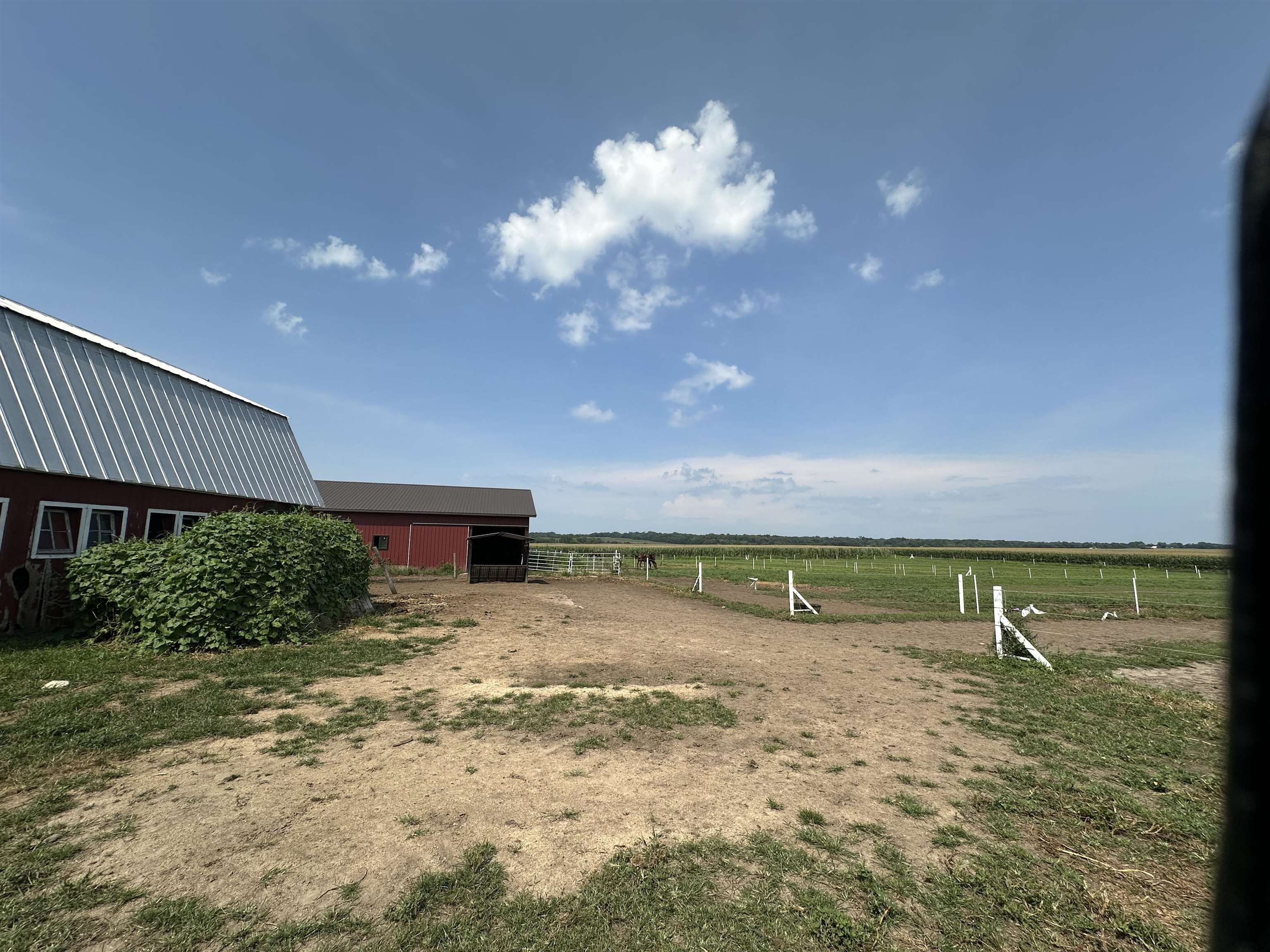 9896 Lincoln Road Morrison, IL 61270 - Photo 10 of 38 a view of a yard