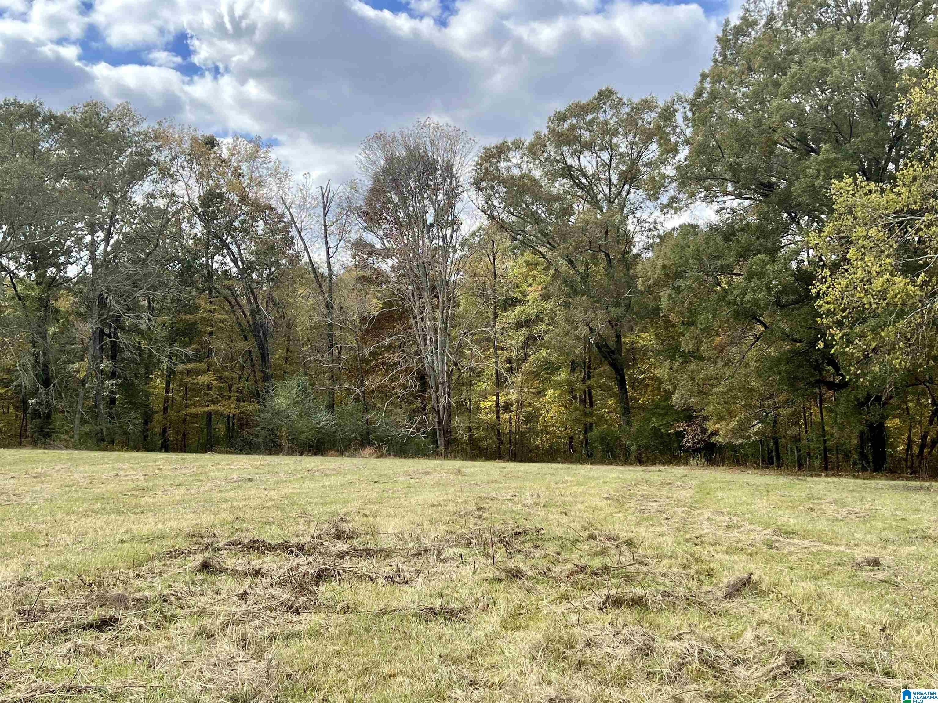 0 Rock Springs Road, Unit 52 24 Warrior, AL 35180 - Photo 36 of 39