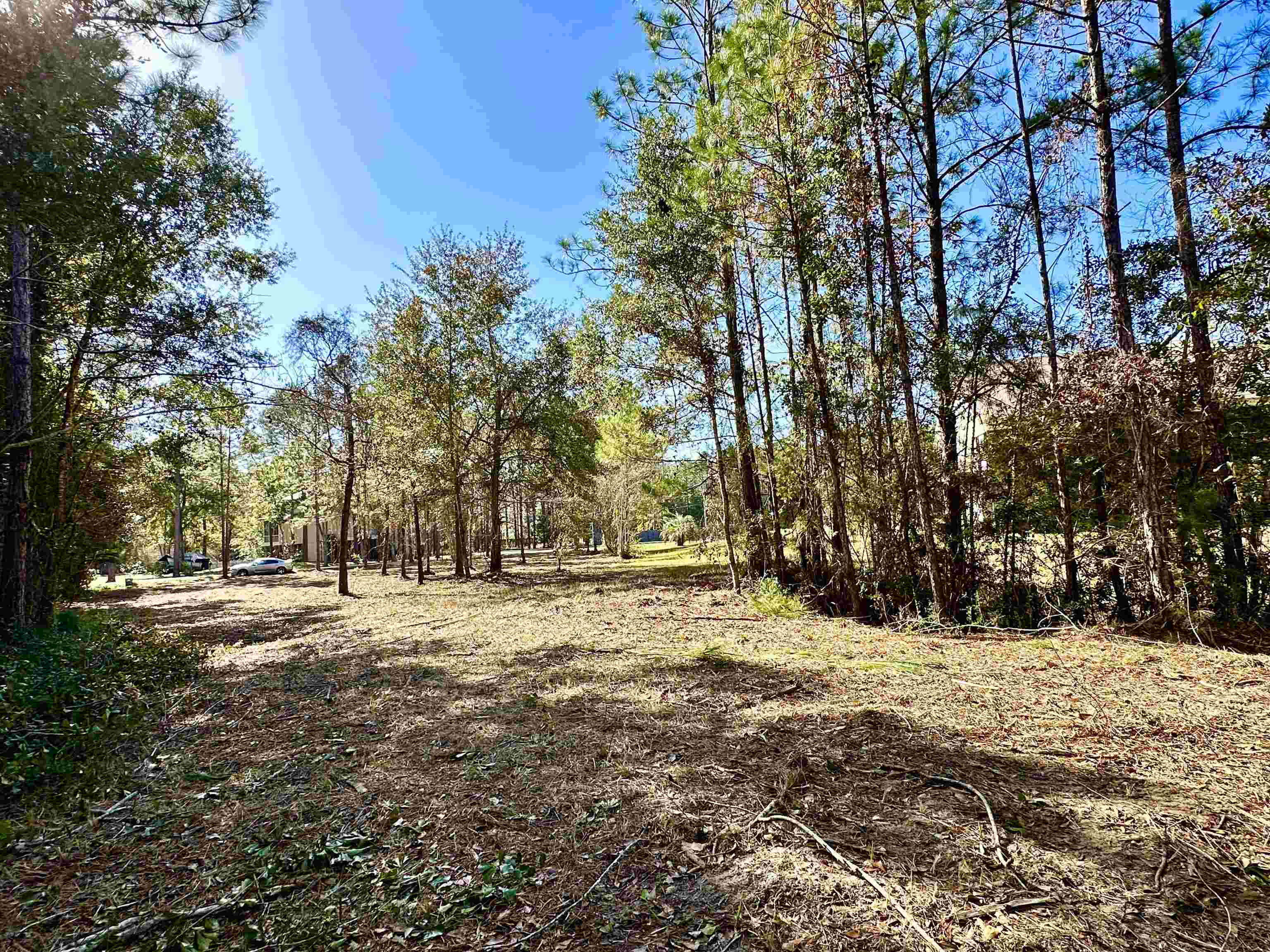 40707 Canal Circle Fairhope, AL 36532 - Photo 8 of 10 Yard