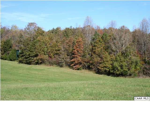 1233 Jacks Shop Road Rochelle, VA 22738 - Photo 27 of 30 a black and white photo of a field