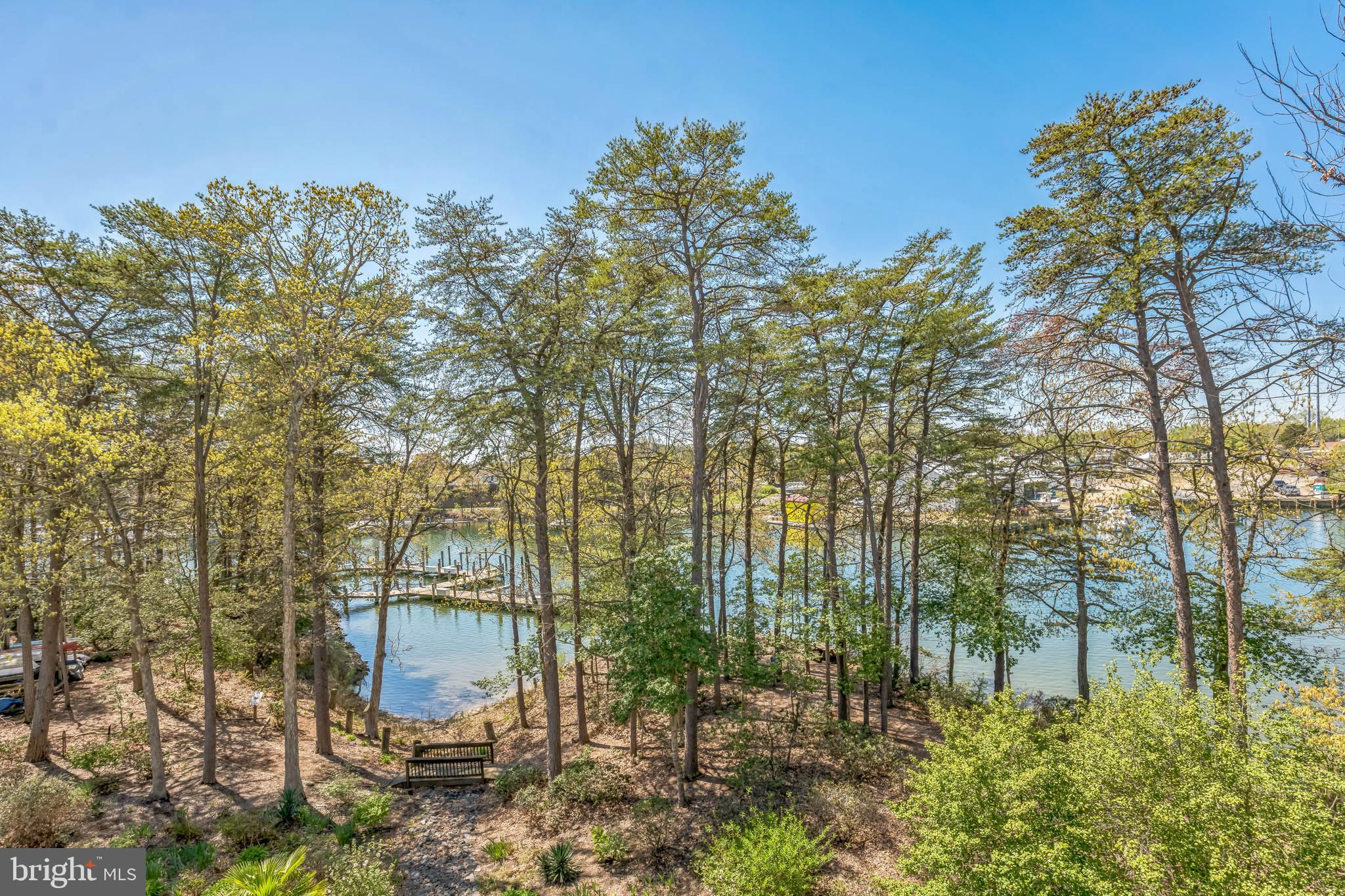 534 Runabout Loop, Unit 534 Solomons, MD 20688 - Photo 1 of 36