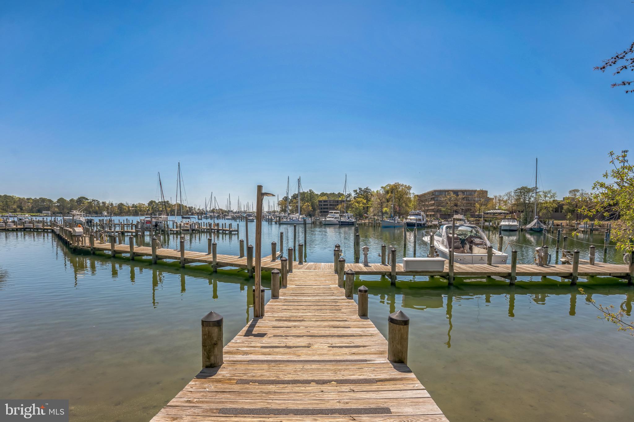 534 Runabout Loop, Unit 534 Solomons, MD 20688 - Photo 9 of 36 a park view with water view