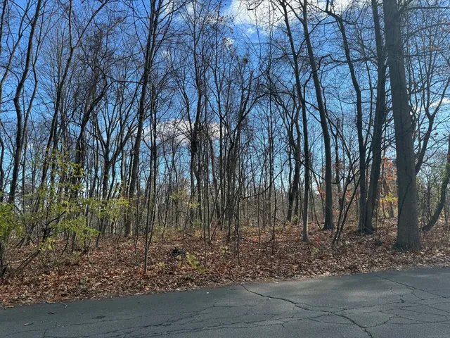 a backyard of a house with lots of trees