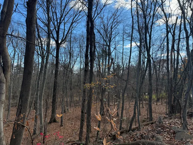 a view of a outdoor space