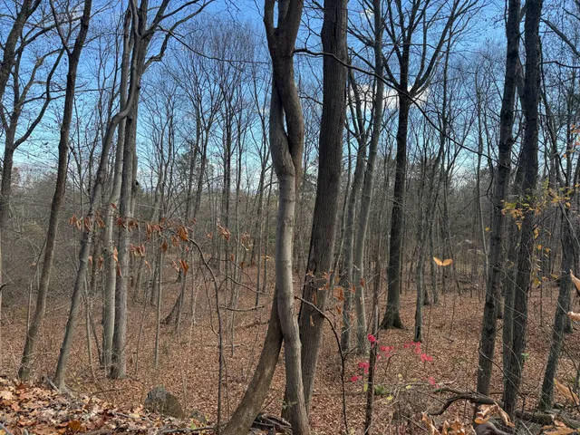 an outdoor space with wooden fence