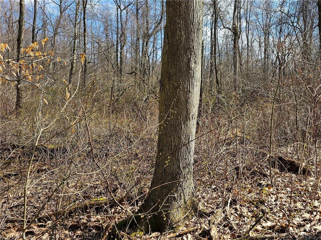 0 Dean Road Sandy Lake, PA 16145 - Photo 16 of 21 photo taken in March 24'
