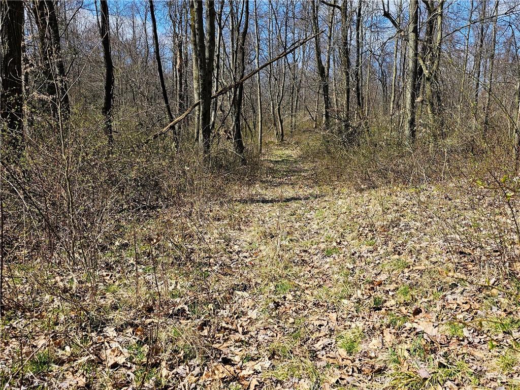 0 Dean Road Sandy Lake, PA 16145 - Photo 17 of 21 Photo taken in March 24'