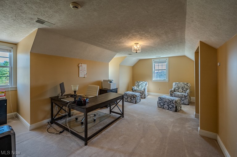 434 Rector Road Parkersburg, WV 26104 - Photo 31 of 50 Home office featuring visible vents, light carpet, lofted ceiling, a textured ceiling, and baseboards
