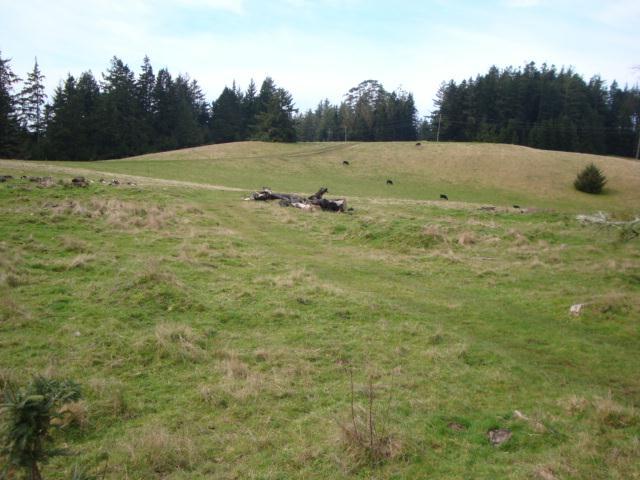 0 Berta Road Eureka, CA 95503 - Photo 2 of 20