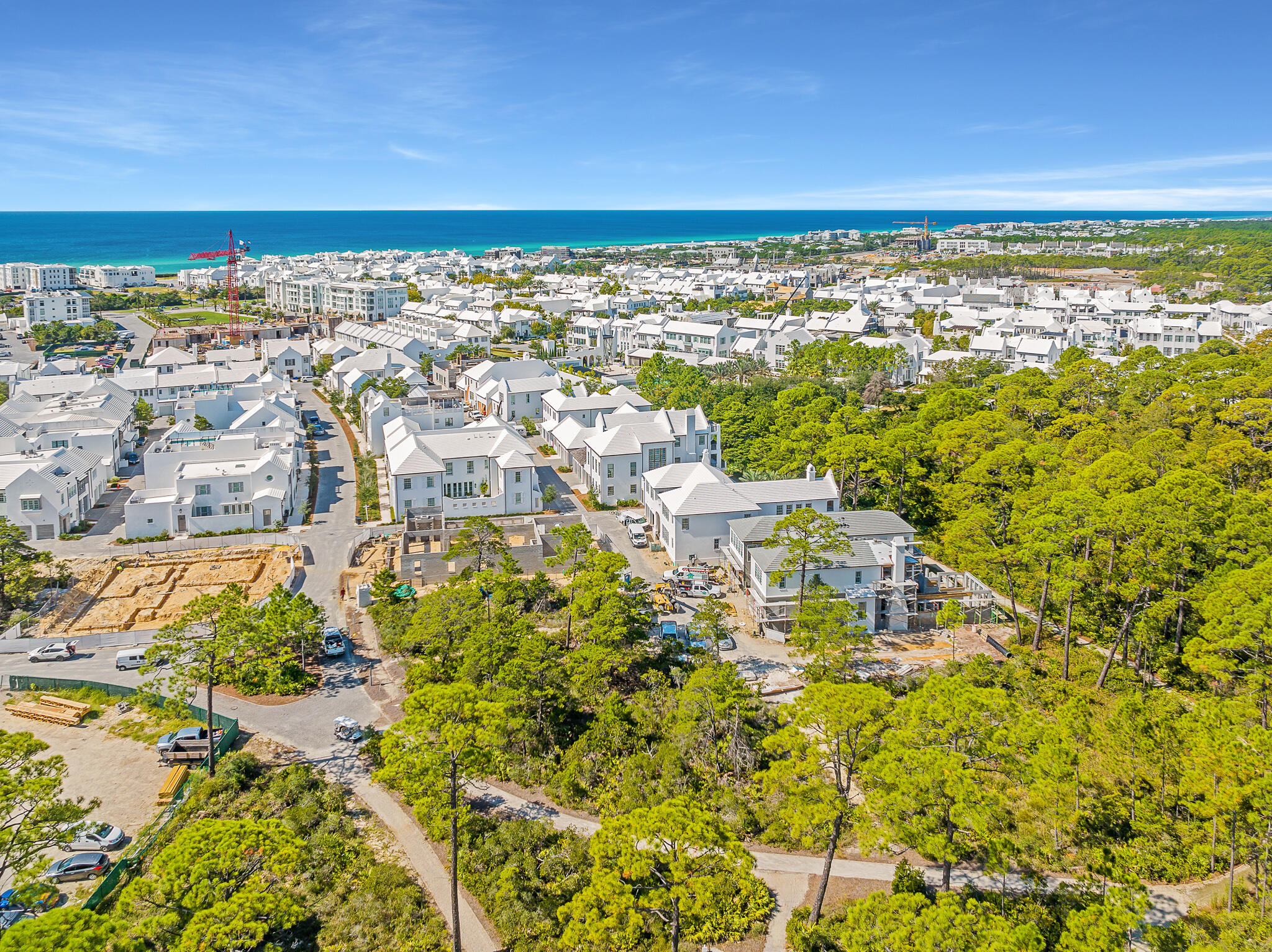 116 Featherbed Alley Inlet Beach, FL 32461 - Photo 2 of 15 dave-warren-real-estate-photography-6