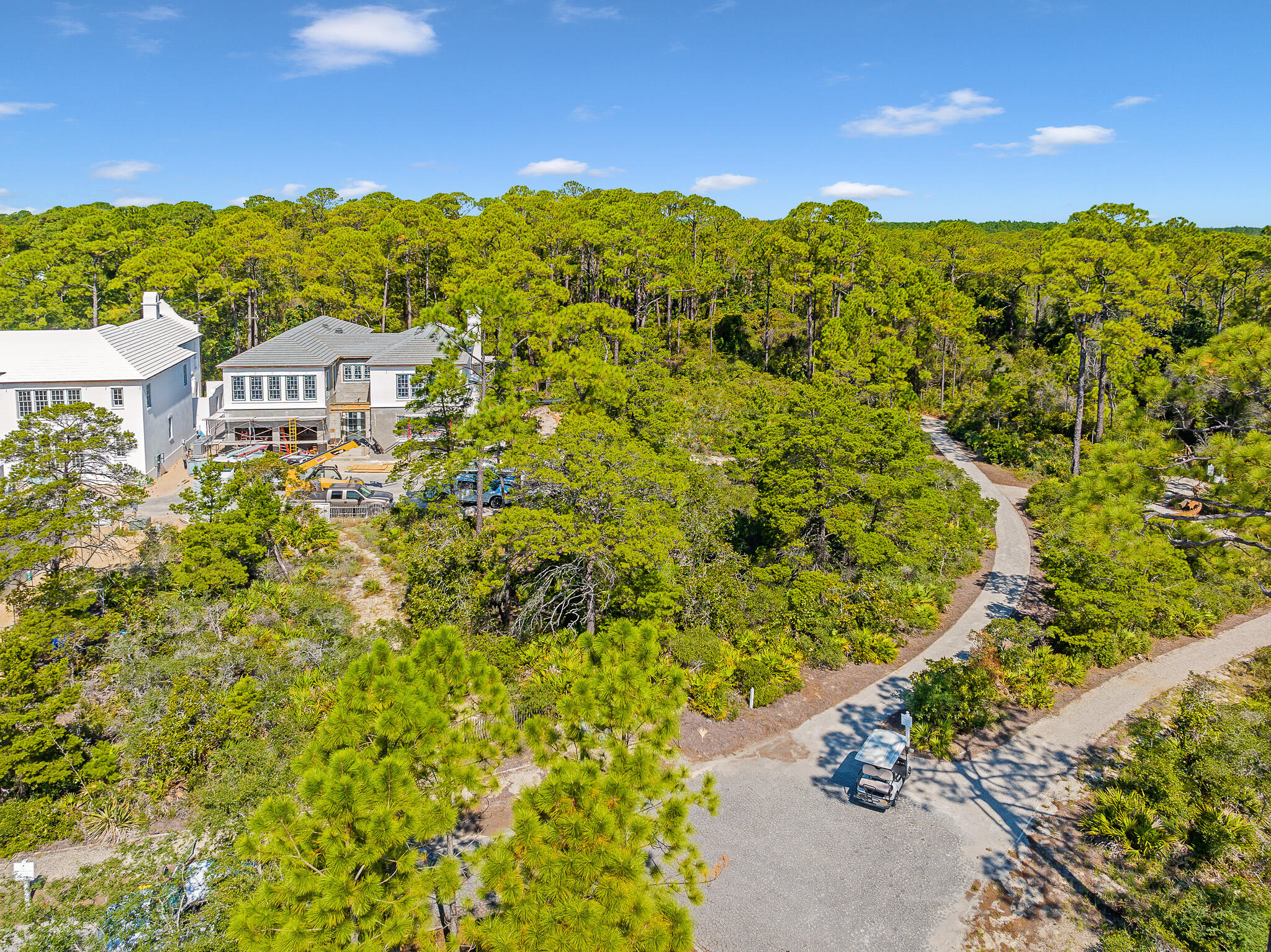 116 Featherbed Alley Inlet Beach, FL 32461 - Photo 4 of 15 dave-warren-real-estate-photography-1