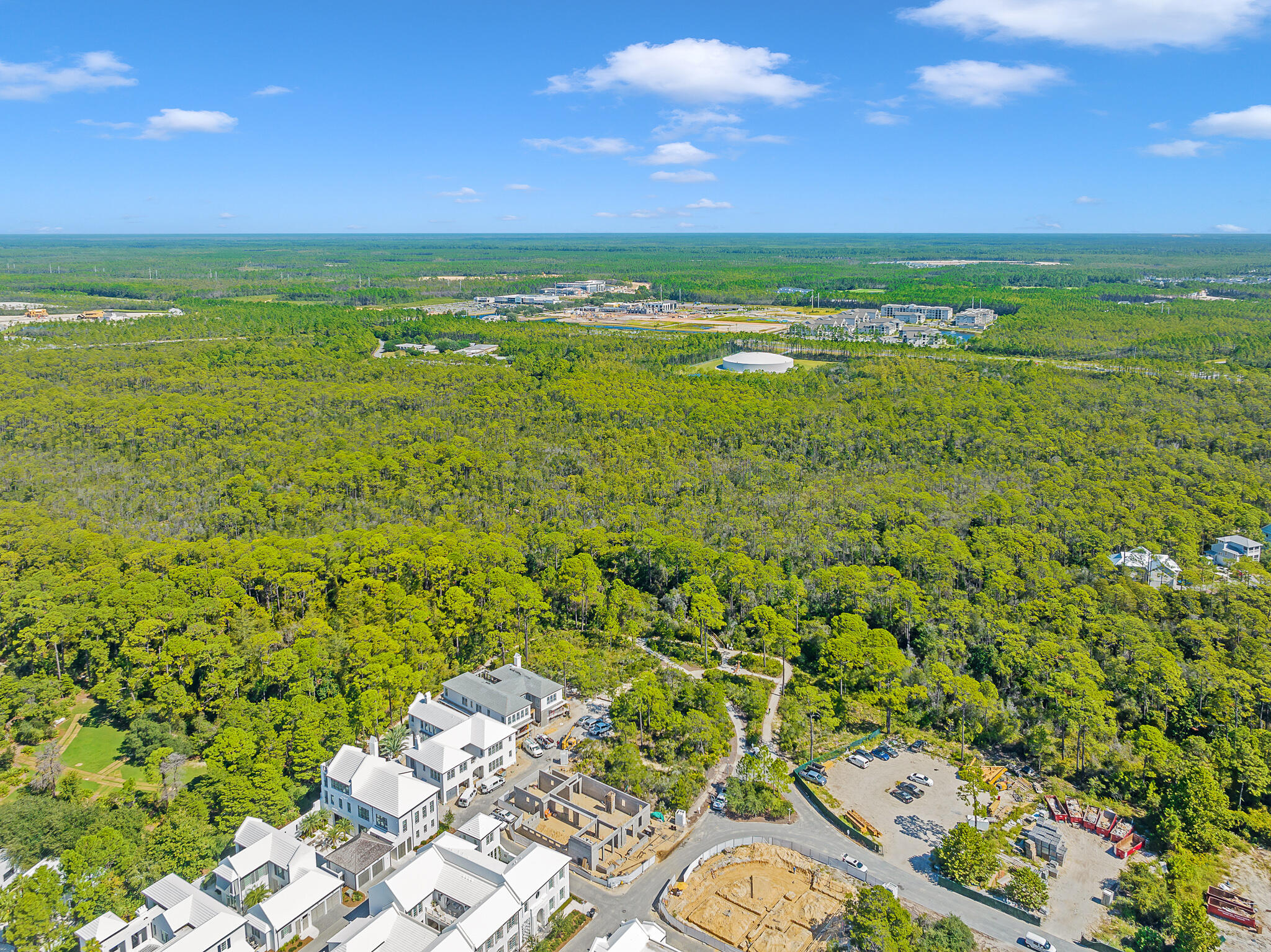 116 Featherbed Alley Inlet Beach, FL 32461 - Photo 5 of 15 dave-warren-real-estate-photography-14