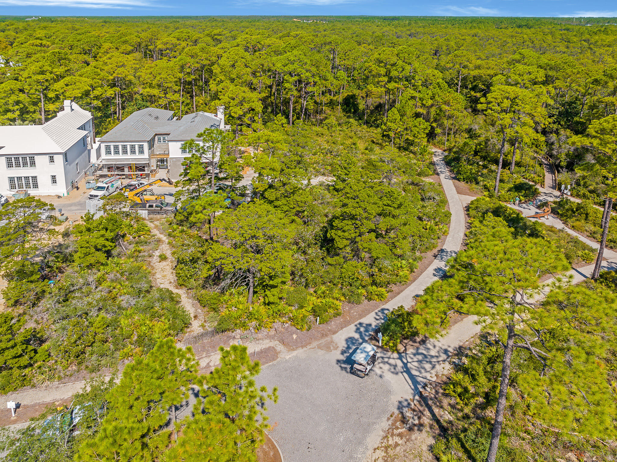 116 Featherbed Alley Inlet Beach, FL 32461 - Photo 6 of 15 dave-warren-real-estate-photography-2