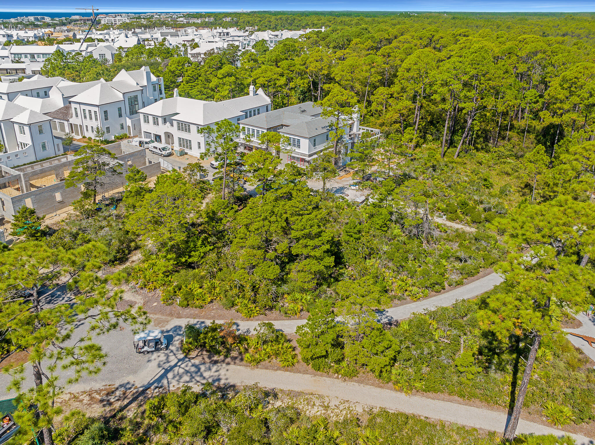 116 Featherbed Alley Inlet Beach, FL 32461 - Photo 7 of 15 dave-warren-real-estate-photography-3