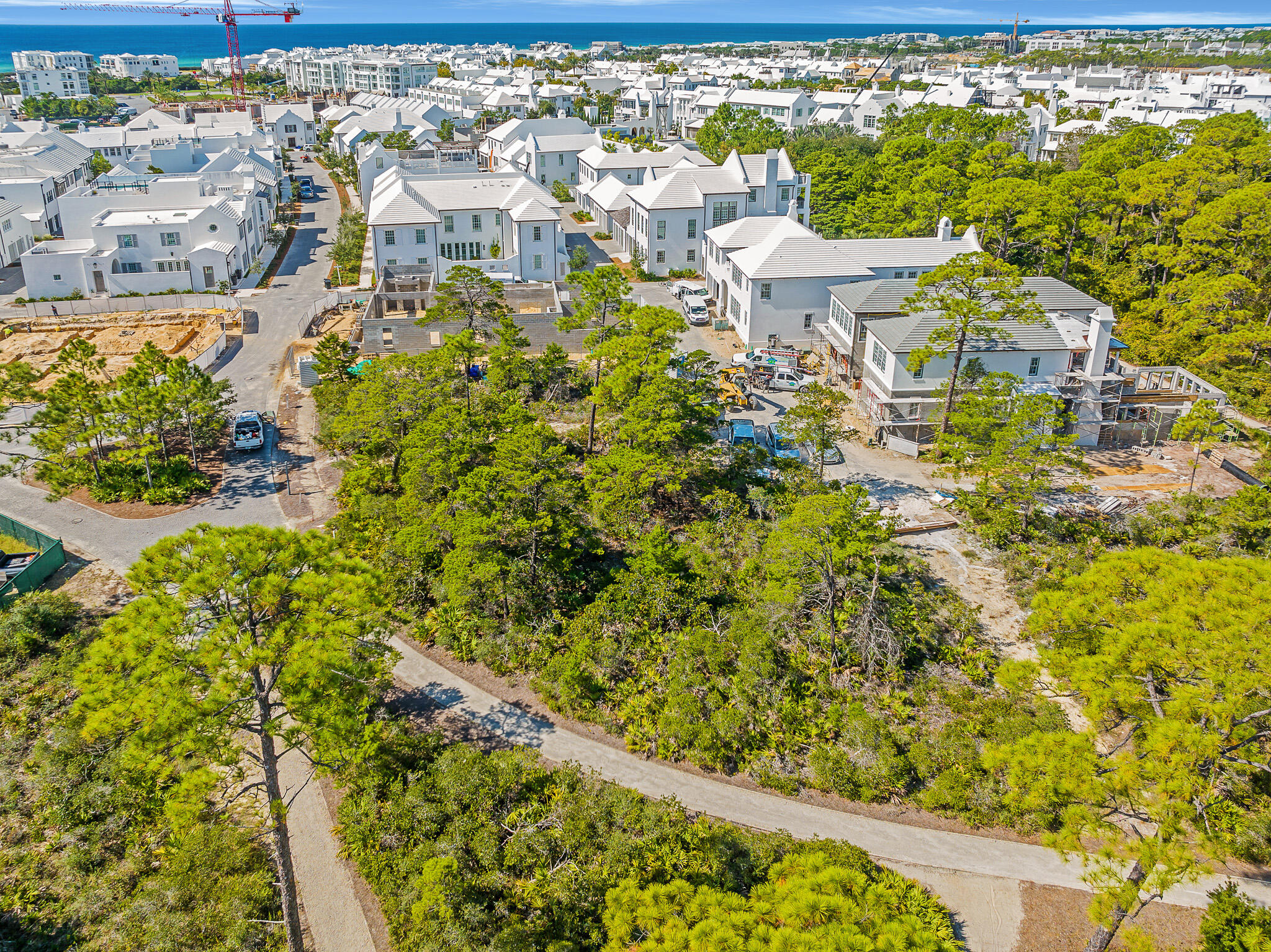116 Featherbed Alley Inlet Beach, FL 32461 - Photo 8 of 15 dave-warren-real-estate-photography-4