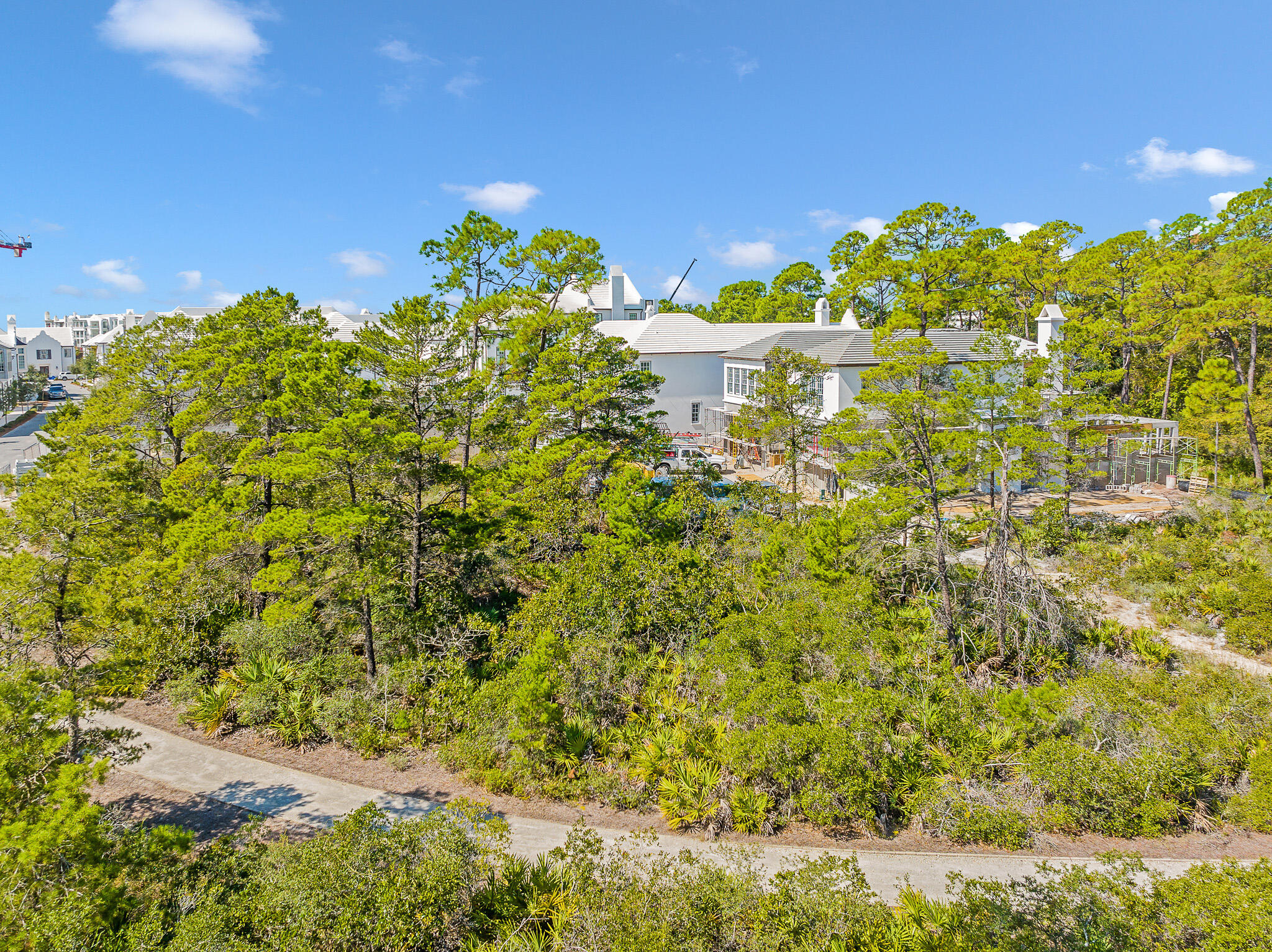 116 Featherbed Alley Inlet Beach, FL 32461 - Photo 9 of 15 dave-warren-real-estate-photography-5