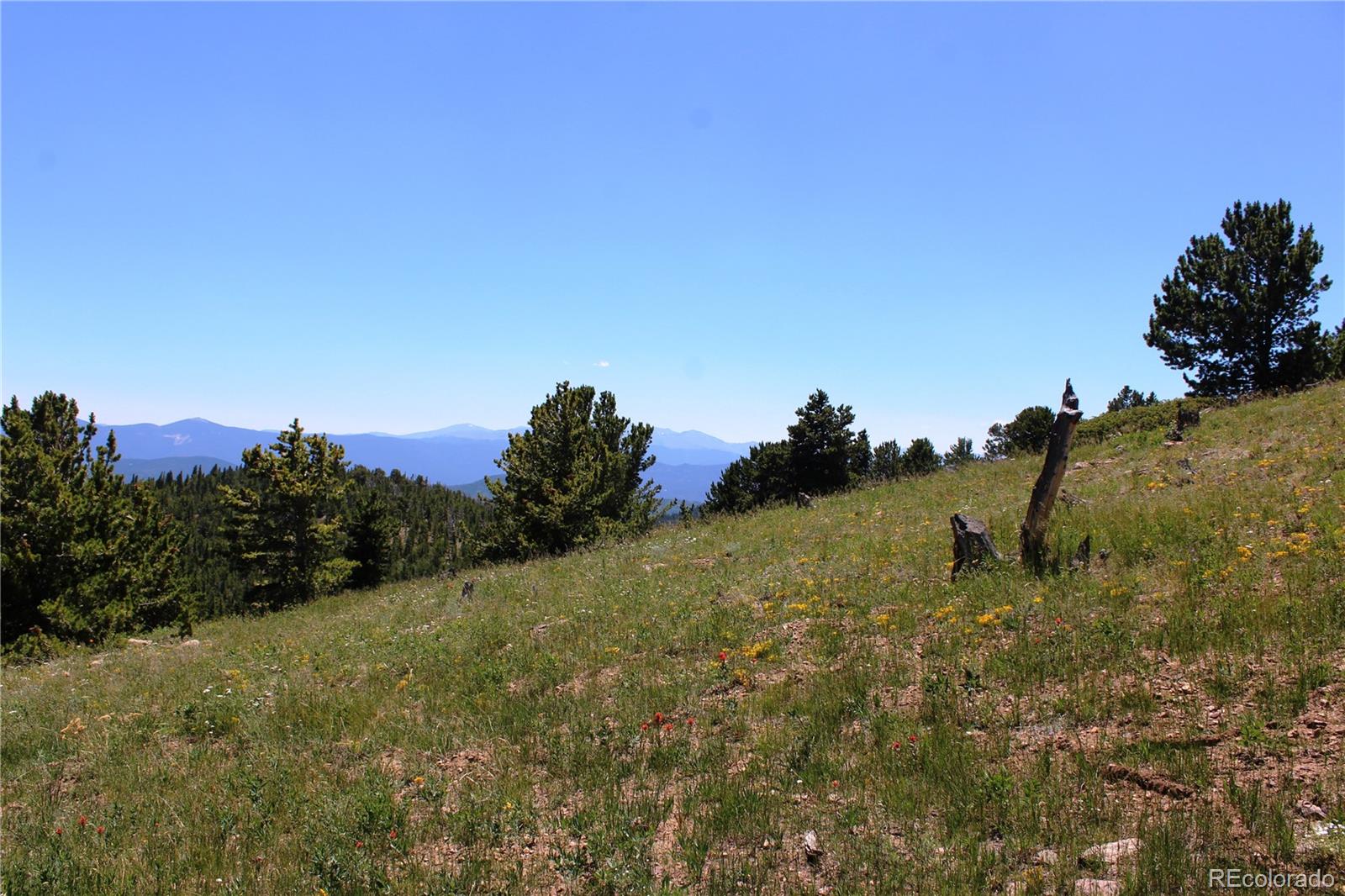 1595 Missouri Gulch Road Black Hawk, CO 80422 - Photo 18 of 49