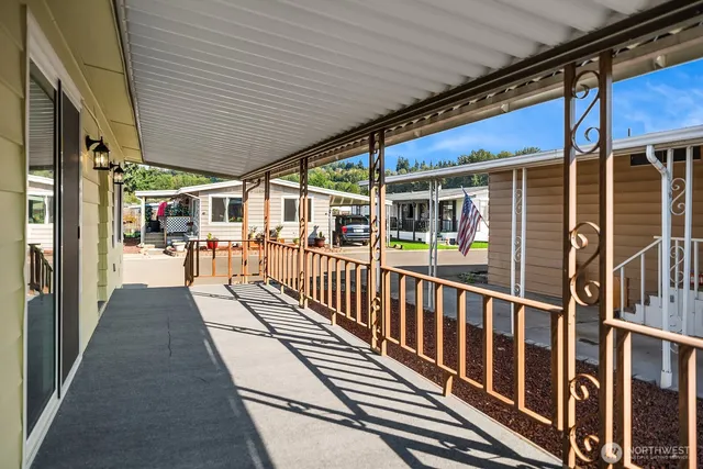 a view of a backyard with a tree
