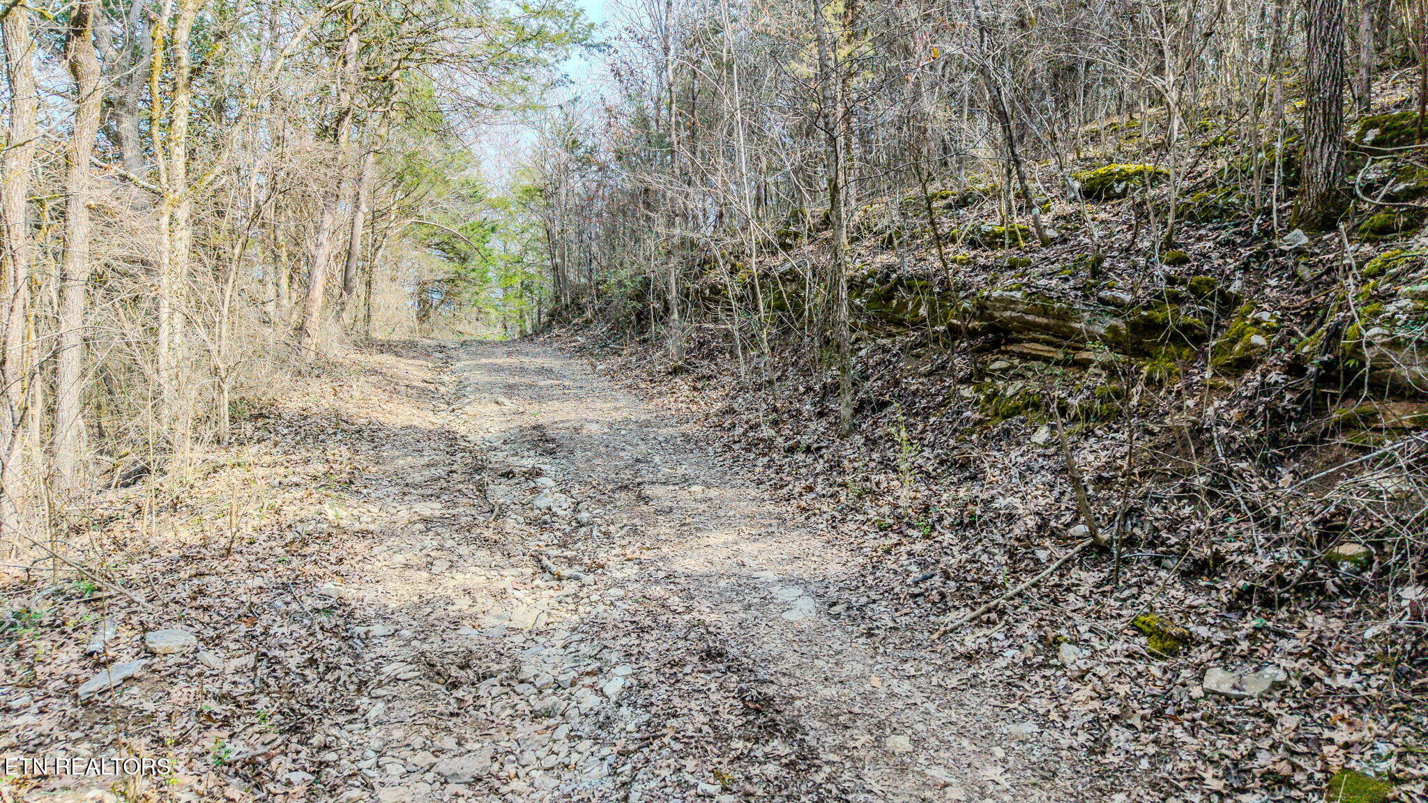 9406 Heiskell Road Heiskell, TN 37754 - Photo 2 of 8 2-web-or-mls-DJI_20260225114827_0832_D