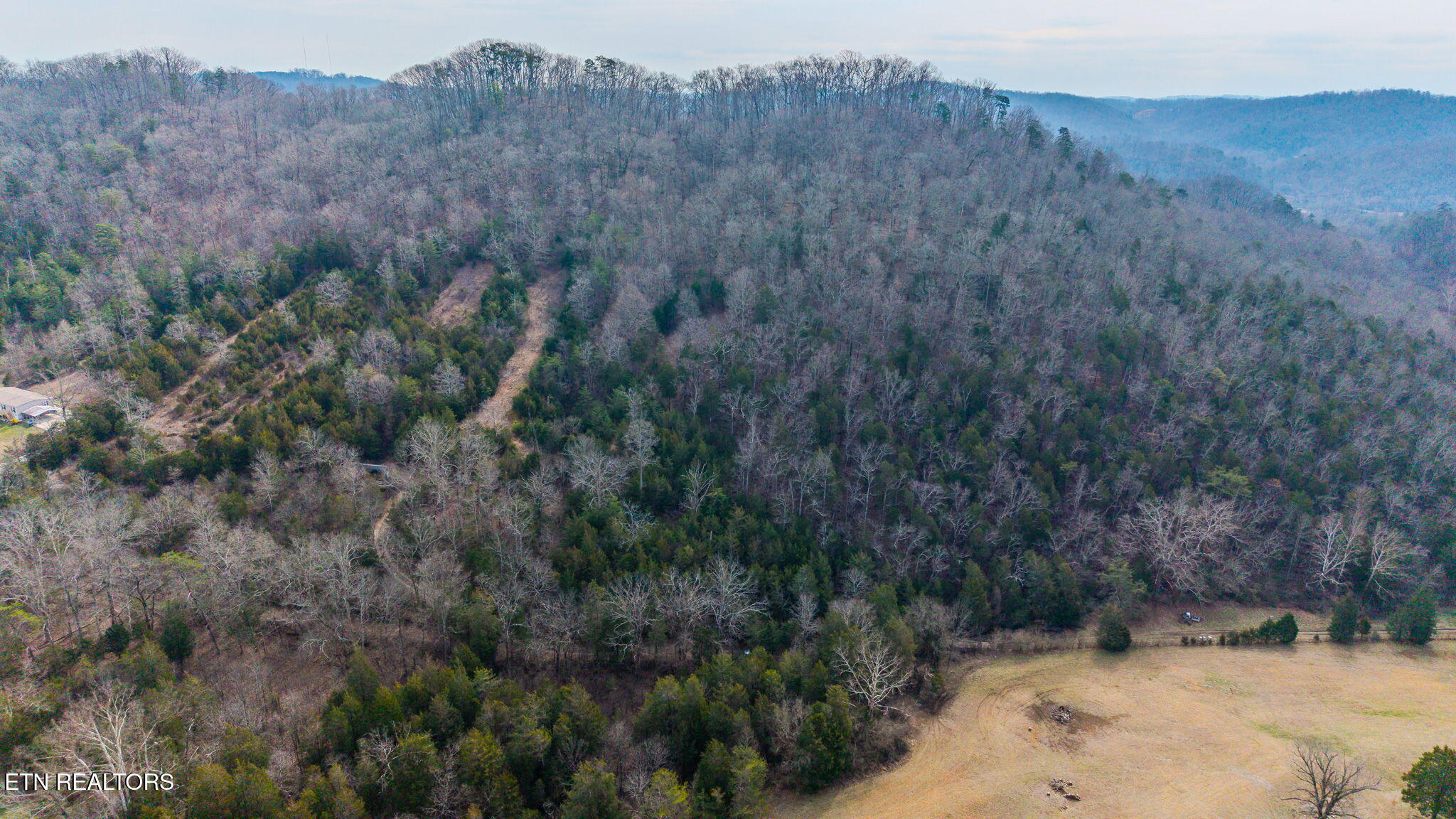 9406 Heiskell Road Heiskell, TN 37754 - Photo 3 of 8 3-web-or-mls-DJI_20260225114630_0828_D