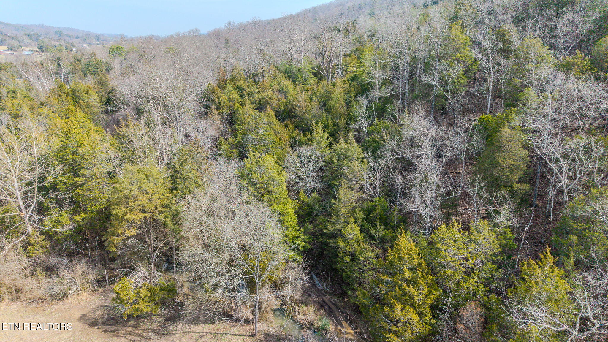 9406 Heiskell Road Heiskell, TN 37754 - Photo 5 of 8 5-web-or-mls-DJI_20260225114743_0830_D