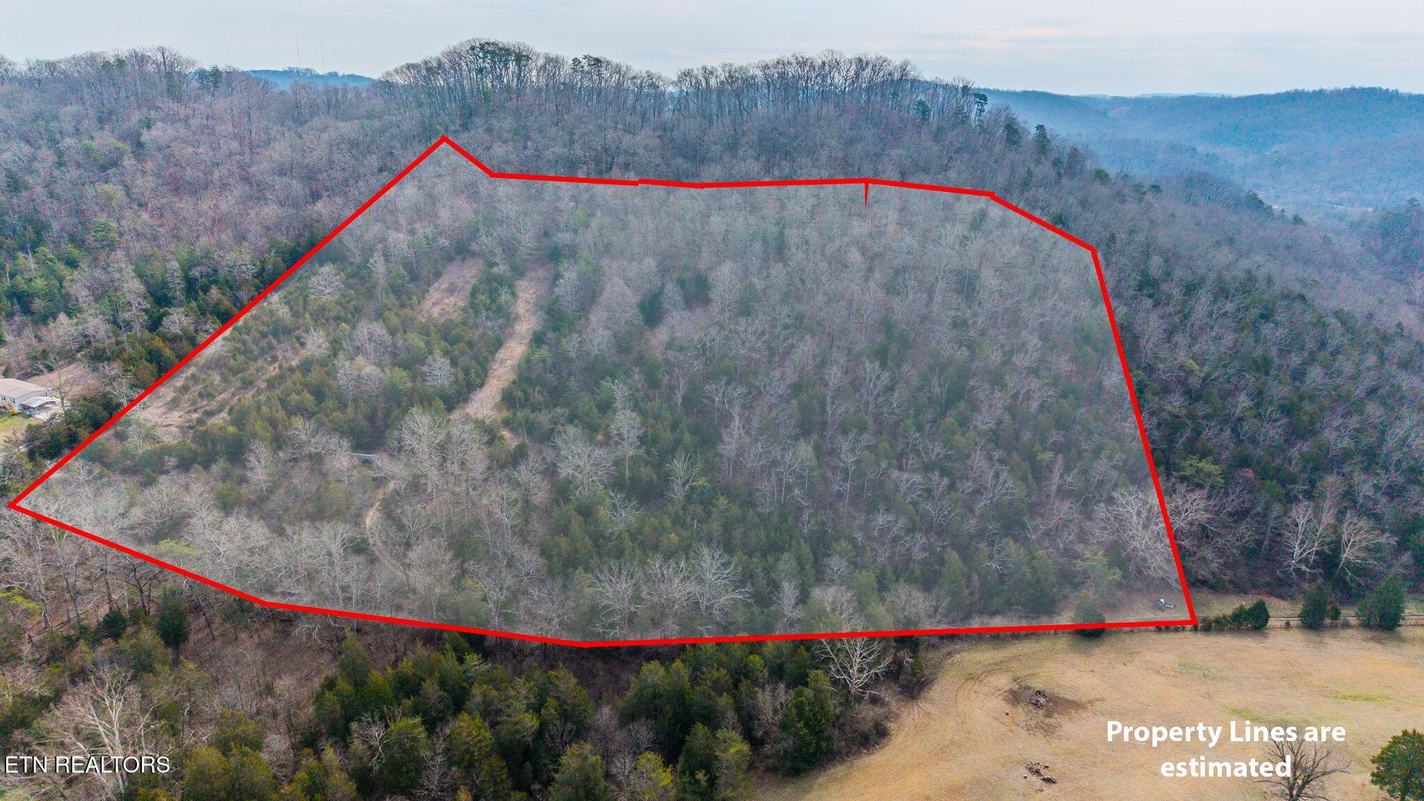 9406 Heiskell Road Heiskell, TN 37754 - Photo 6 of 8 6-web-or-mls-DJI_20260225114630_0828_D