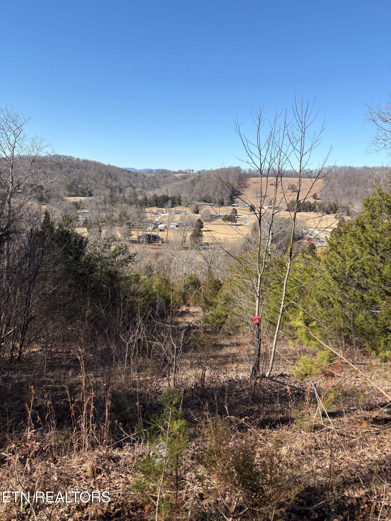 9406 Heiskell Road Heiskell, TN 37754 - Photo 7 of 8 IMG_6928