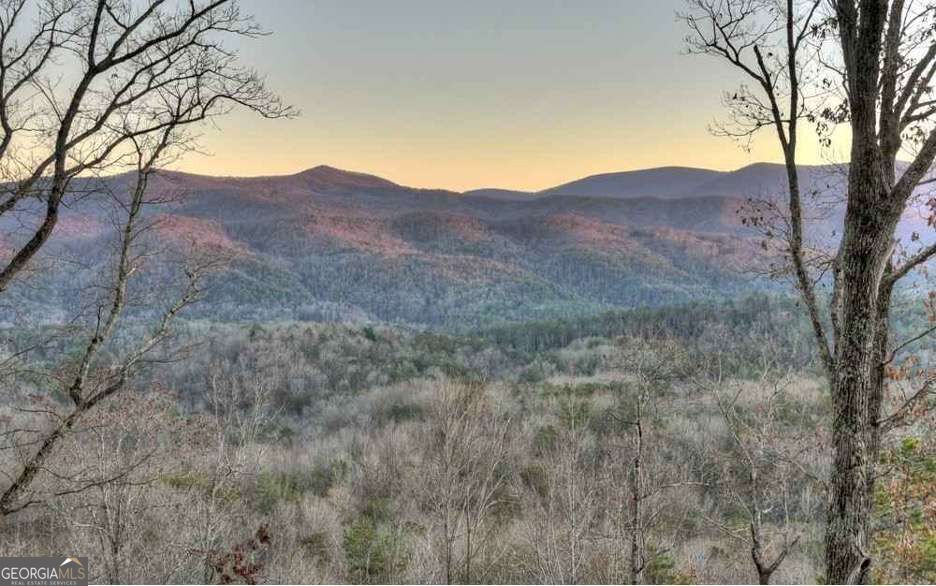 280 Point Of View, Unit 15 Blue Ridge, GA 30513 - Photo 8 of 61 Gallery Image 8