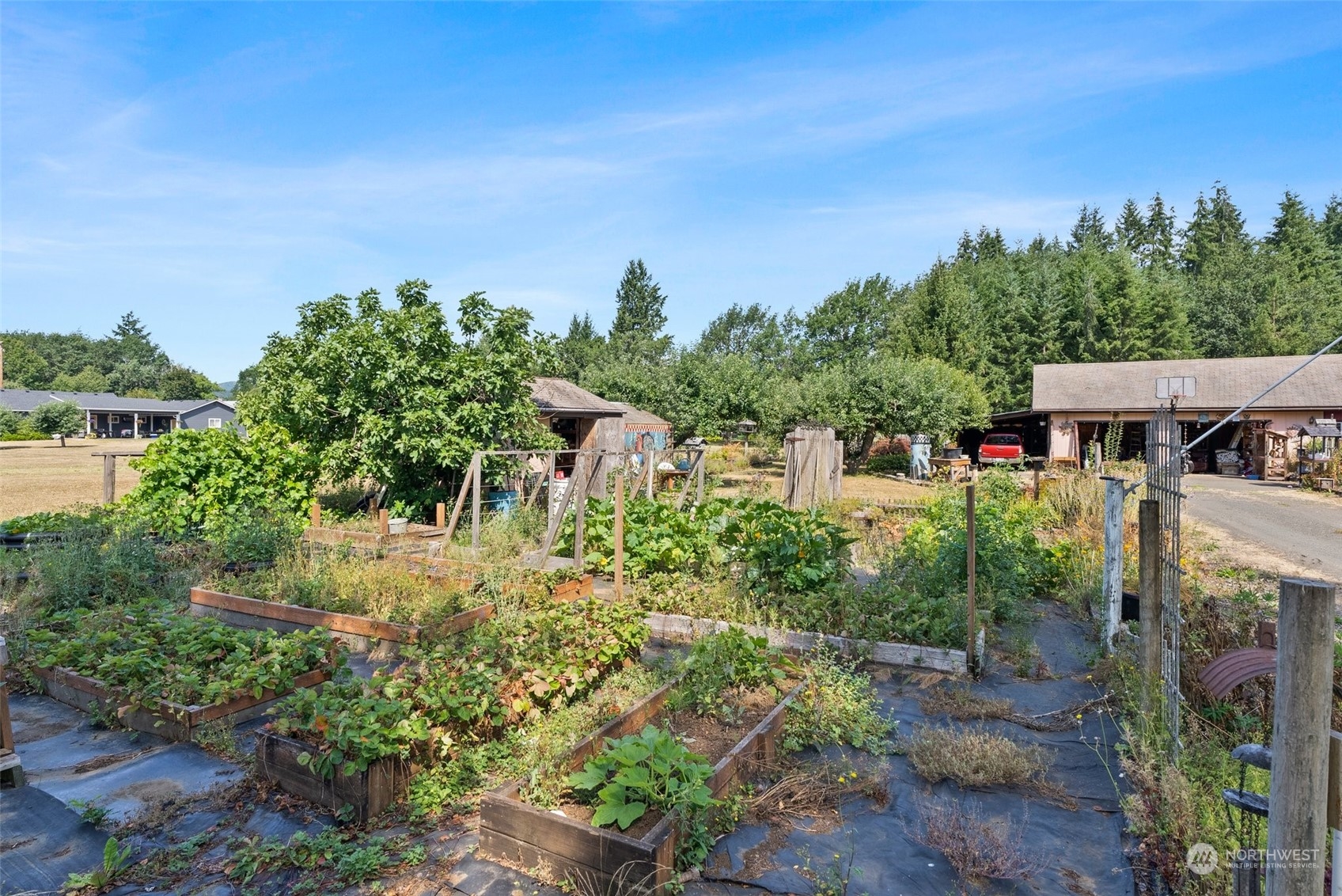 346 Doty-Dryad Road Doty, WA 98539 - Photo 4 of 36 Gallery Image 4