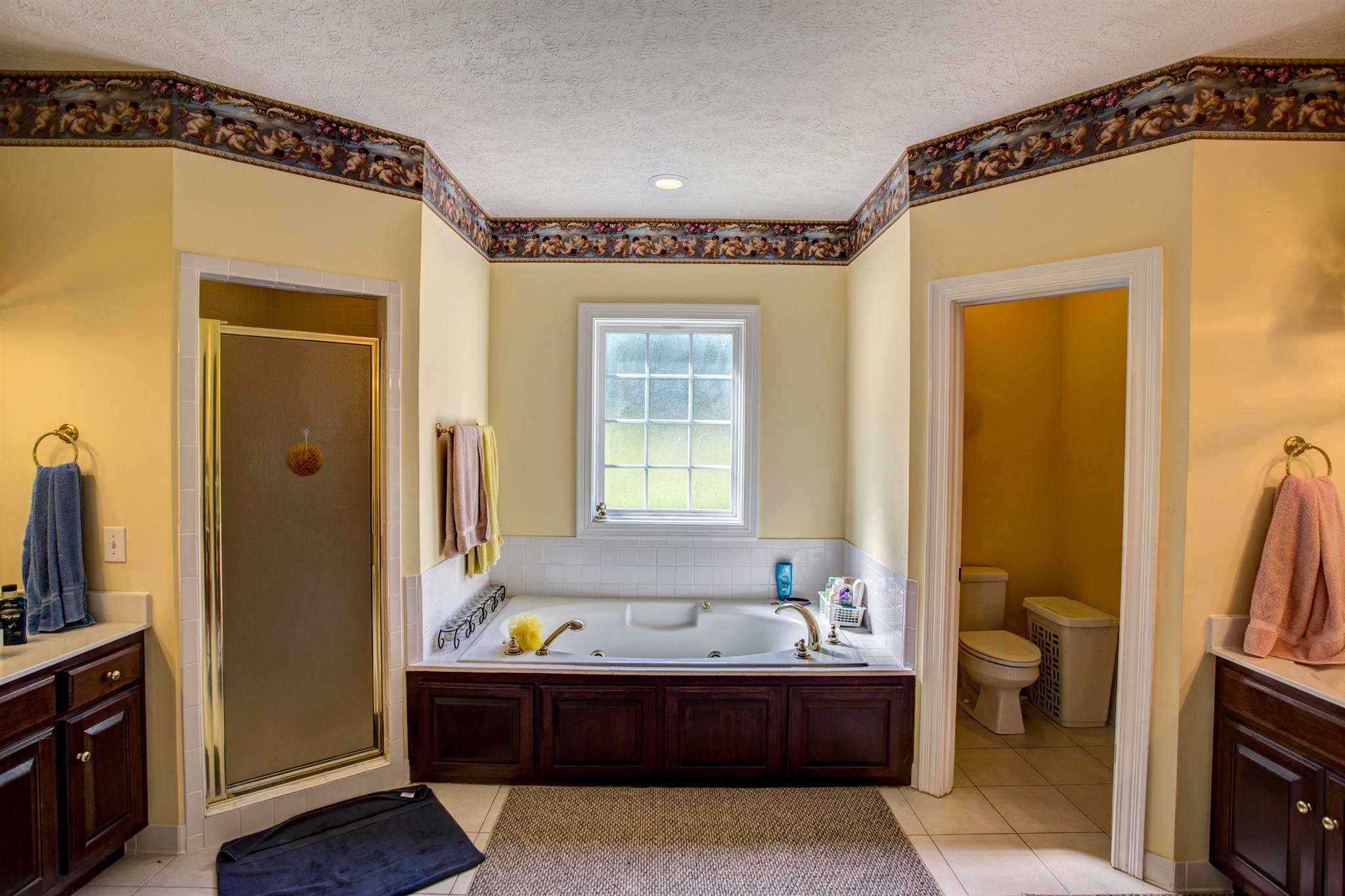 3350 Maxie Jones Road Springfield, TN 37172 - Photo 11 of 30 a spacious bathroom with a tub and a shower