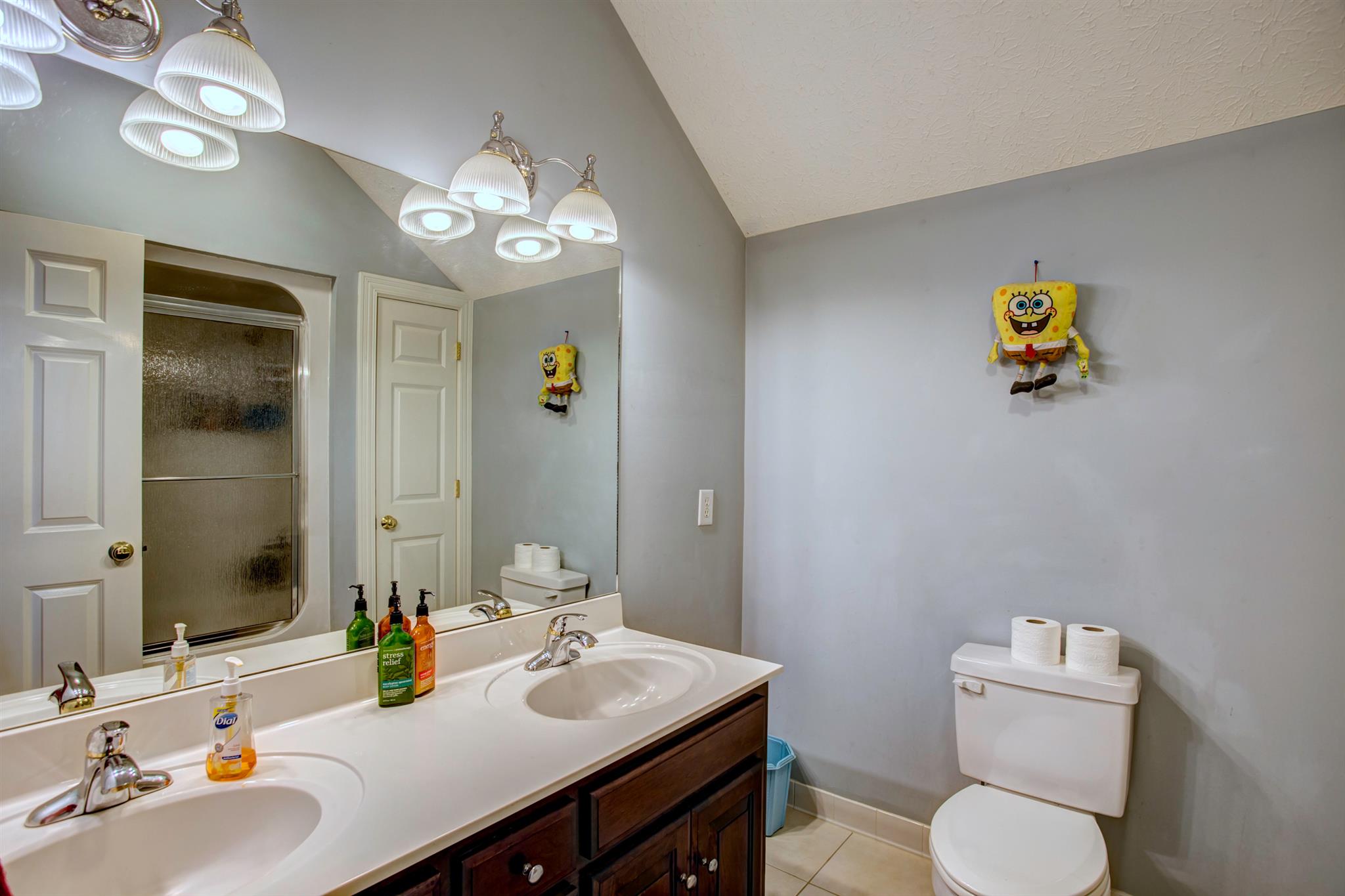 3350 Maxie Jones Road Springfield, TN 37172 - Photo 13 of 30 a bathroom with a sink a toilet and a mirror
