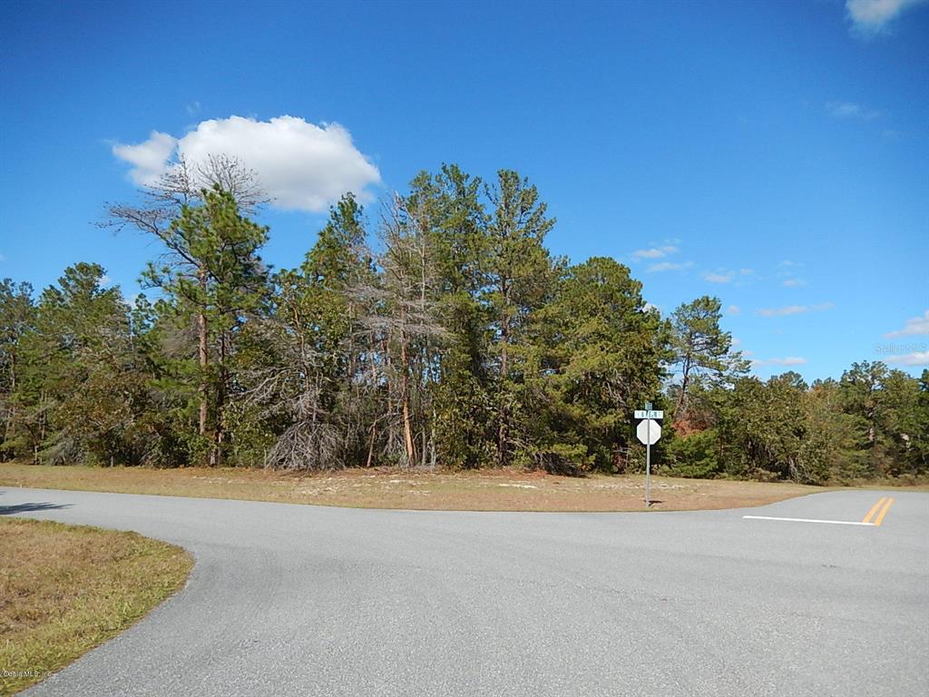 0 Southwest 161st Place Road Ocala, FL 34473 - Photo 1 of 1 064